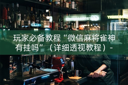 玩家必备教程“微信麻将雀神有挂吗”（详细透视教程）-哔哩哔哩