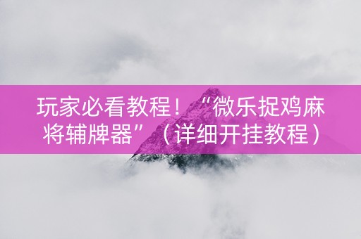 玩家必看教程！“微乐捉鸡麻将辅牌器”（详细开挂教程）-哔哩哔哩