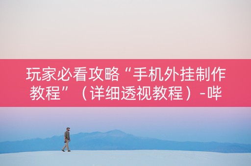 玩家必看攻略“手机外挂制作教程”（详细透视教程）-哔哩哔哩