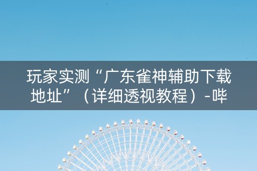 玩家实测“广东雀神辅助下载地址”（详细透视教程）-哔哩哔哩