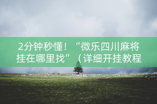 2分钟秒懂！“微乐四川麻将挂在哪里找”（详细开挂教程）-哔哩哔哩