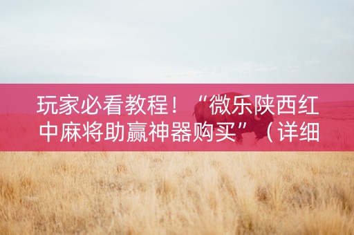 玩家必看教程！“微乐陕西红中麻将助赢神器购买”（详细开挂教程）-哔哩哔哩