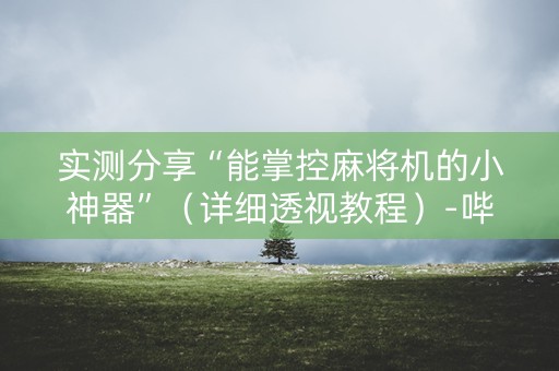 实测分享“能掌控麻将机的小神器”（详细透视教程）-哔哩哔哩