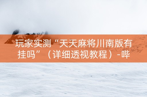 玩家实测“天天麻将川南版有挂吗”（详细透视教程）-哔哩哔哩