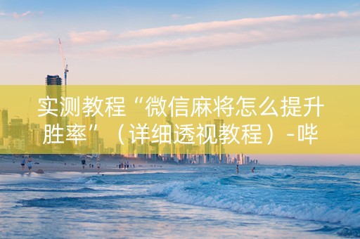 实测教程“微信麻将怎么提升胜率”（详细透视教程）-哔哩哔哩