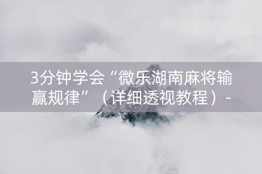 3分钟学会“微乐湖南麻将输赢规律”（详细透视教程）-哔哩哔哩