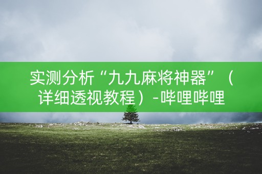 实测分析“九九麻将神器”（详细透视教程）-哔哩哔哩