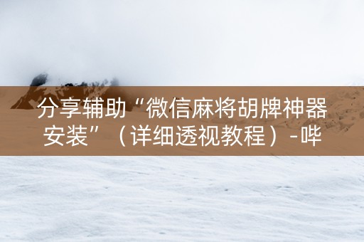 分享辅助“微信麻将胡牌神器安装”（详细透视教程）-哔哩哔哩