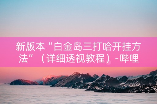 新版本“白金岛三打哈开挂方法”（详细透视教程）-哔哩哔哩