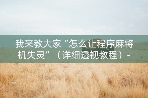 我来教大家“怎么让程序麻将机失灵”（详细透视教程）-哔哩哔哩
