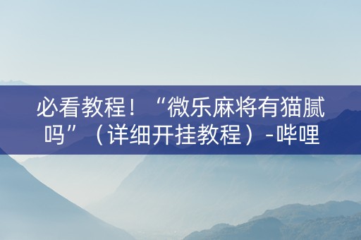 必看教程！“微乐麻将有猫腻吗”（详细开挂教程）-哔哩哔哩