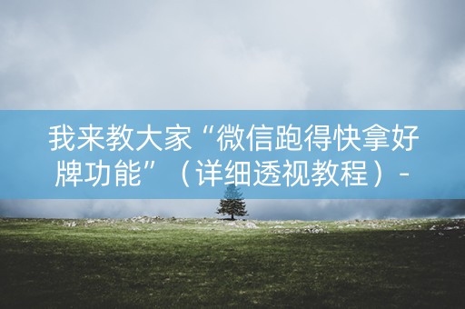 我来教大家“微信跑得快拿好牌功能”（详细透视教程）-哔哩哔哩