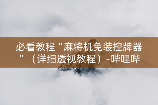 必看教程“麻将机免装控牌器”（详细透视教程）-哔哩哔哩