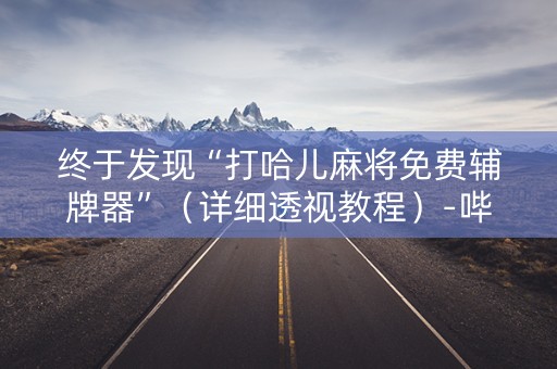 终于发现“打哈儿麻将免费辅牌器”（详细透视教程）-哔哩哔哩