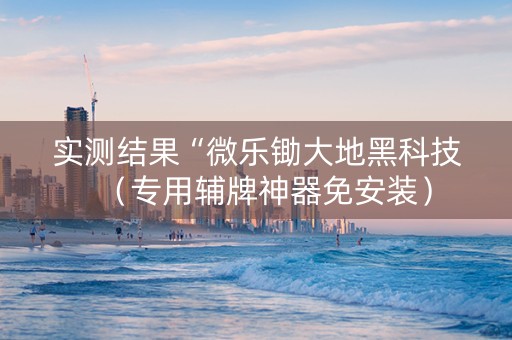 实测结果“微乐锄大地黑科技（专用辅牌神器免安装）