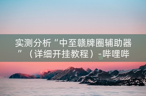 实测分析“中至赣牌圈辅助器”（详细开挂教程）-哔哩哔哩