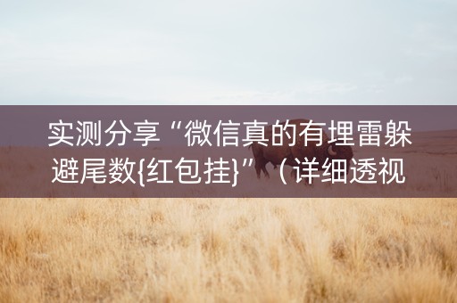 实测分享“微信真的有埋雷躲避尾数{红包挂}”（详细透视教程）-哔哩哔哩