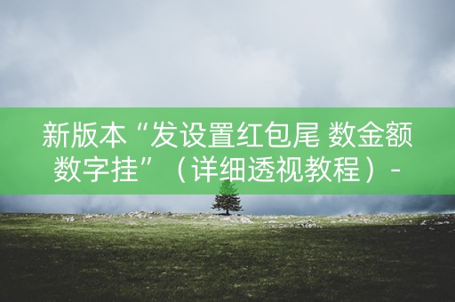 新版本“发设置红包尾 数金额数字挂”（详细透视教程）-哔哩哔哩
