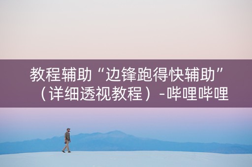 教程辅助“边锋跑得快辅助”（详细透视教程）-哔哩哔哩