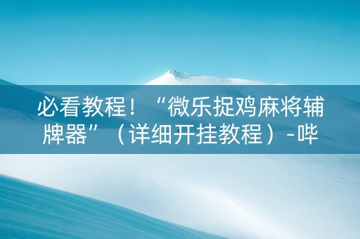 必看教程！“微乐捉鸡麻将辅牌器”（详细开挂教程）-哔哩哔哩