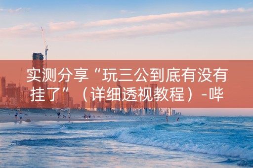 实测分享“玩三公到底有没有挂了”（详细透视教程）-哔哩哔哩