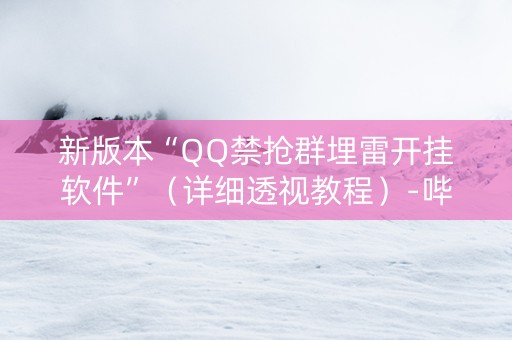 新版本“QQ禁抢群埋雷开挂软件”（详细透视教程）-哔哩哔哩