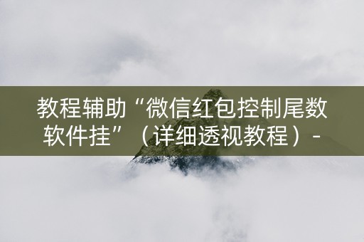 教程辅助“微信红包控制尾数软件挂”（详细透视教程）-哔哩哔哩