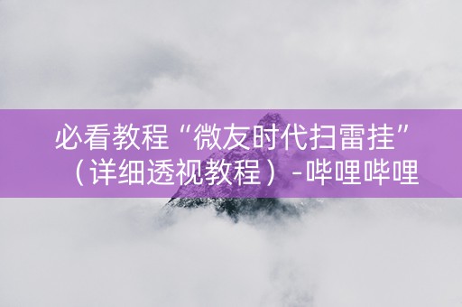必看教程“微友时代扫雷挂”（详细透视教程）-哔哩哔哩
