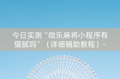 今日实测“微乐麻将小程序有猫腻吗”（详细辅助教程）-哔哩哔哩
