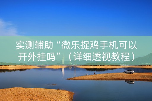 实测辅助“微乐捉鸡手机可以开外挂吗”（详细透视教程）-哔哩哔哩