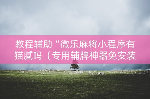 教程辅助“微乐麻将小程序有猫腻吗（专用辅牌神器免安装）