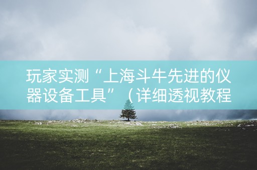 玩家实测“上海斗牛先进的仪器设备工具”（详细透视教程）-哔哩哔哩