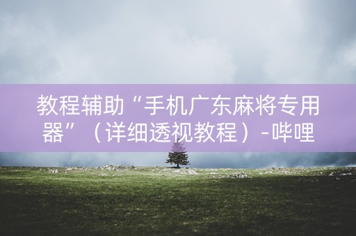 教程辅助“手机广东麻将专用器”（详细透视教程）-哔哩哔哩