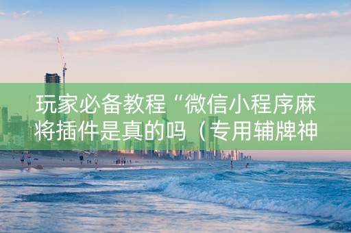 玩家必备教程“微信小程序麻将插件是真的吗（专用辅牌神器免安装）