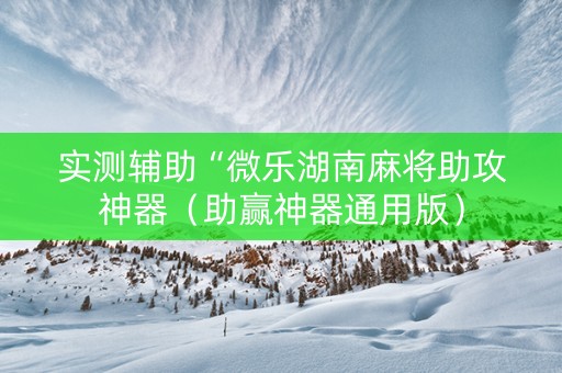 实测辅助“微乐湖南麻将助攻神器（助赢神器通用版）