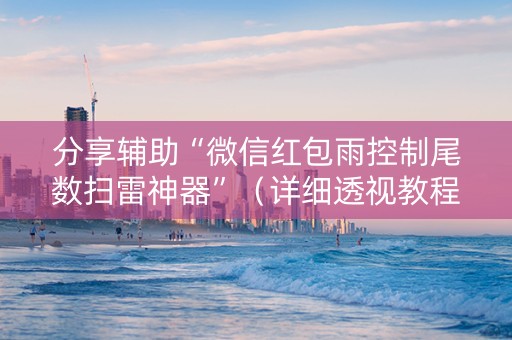 分享辅助“微信红包雨控制尾数扫雷神器”（详细透视教程）-哔哩哔哩