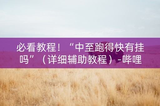 必看教程！“中至跑得快有挂吗”（详细辅助教程）-哔哩哔哩