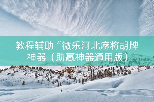 教程辅助“微乐河北麻将胡牌神器（助赢神器通用版）