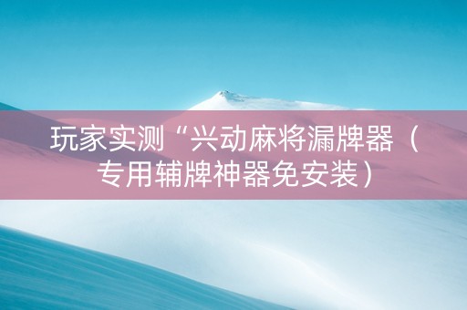 玩家实测“兴动麻将漏牌器（专用辅牌神器免安装）