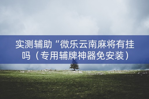 实测辅助“微乐云南麻将有挂吗（专用辅牌神器免安装）