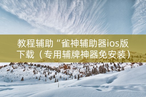 教程辅助“雀神辅助器ios版下载（专用辅牌神器免安装）