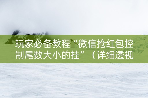 玩家必备教程“微信抢红包控制尾数大小的挂”（详细透视教程）-哔哩哔哩