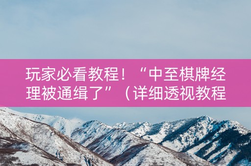玩家必看教程！“中至棋牌经理被通缉了”（详细透视教程）-哔哩哔哩