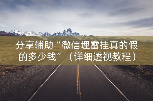 分享辅助“微信埋雷挂真的假的多少钱”（详细透视教程）-哔哩哔哩