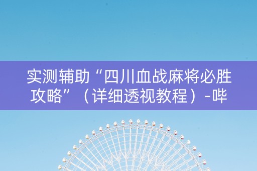 实测辅助“四川血战麻将必胜攻略”（详细透视教程）-哔哩哔哩