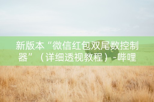 新版本“微信红包双尾数控制器”（详细透视教程）-哔哩哔哩