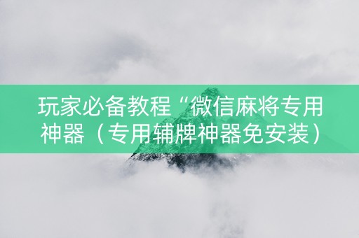 玩家必备教程“微信麻将专用神器（专用辅牌神器免安装）