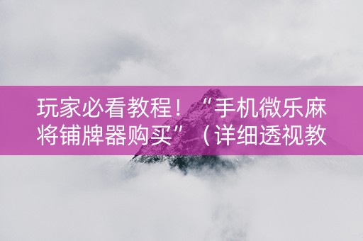 玩家必看教程！“手机微乐麻将铺牌器购买”（详细透视教程）-哔哩哔哩
