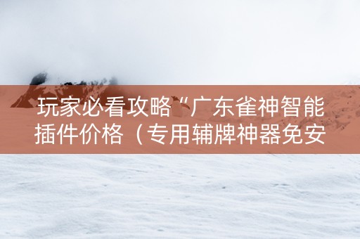 玩家必看攻略“广东雀神智能插件价格（专用辅牌神器免安装）