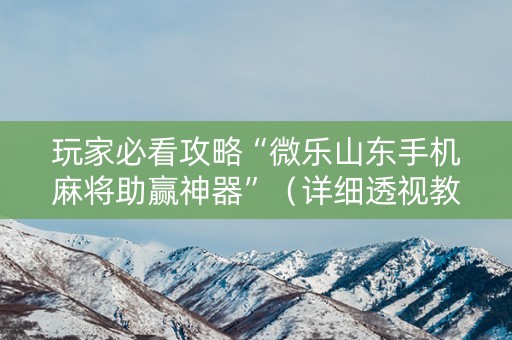 玩家必看攻略“微乐山东手机麻将助赢神器”（详细透视教程）-哔哩哔哩